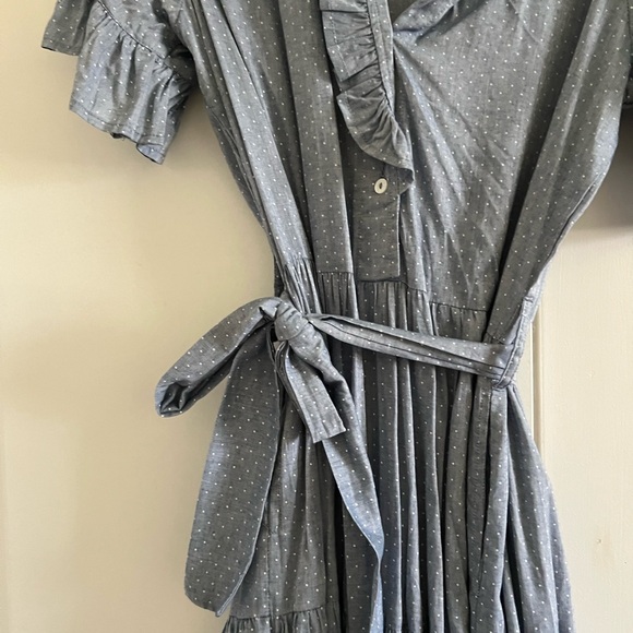 Mille Victoria dress in chambray dot - Picture 5 of 5